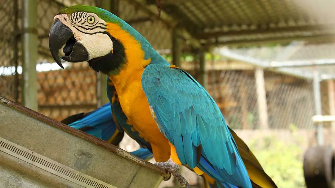 Travelers Campground header